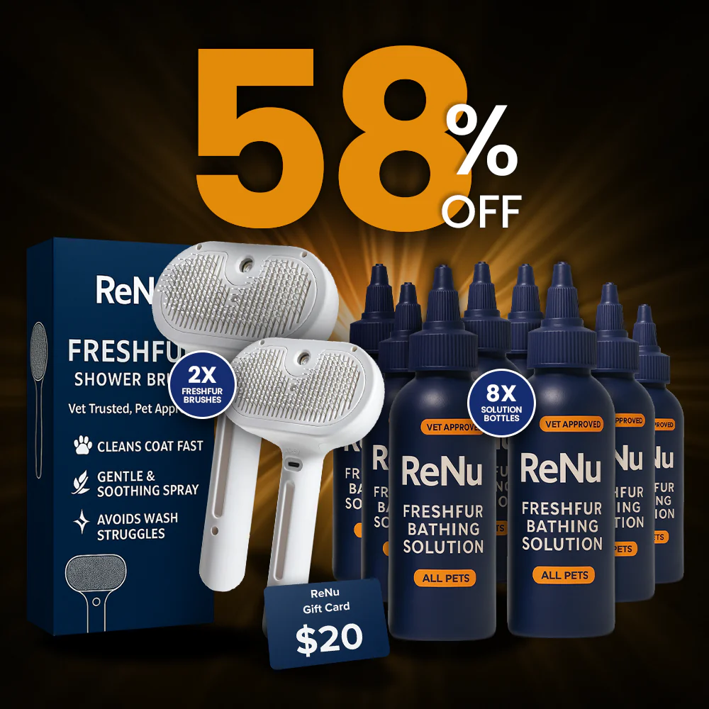 Buy More & Save More